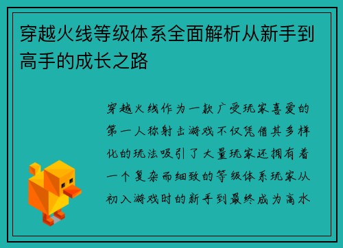 穿越火线等级体系全面解析从新手到高手的成长之路